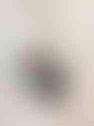 Huile d'olive La Valetanne