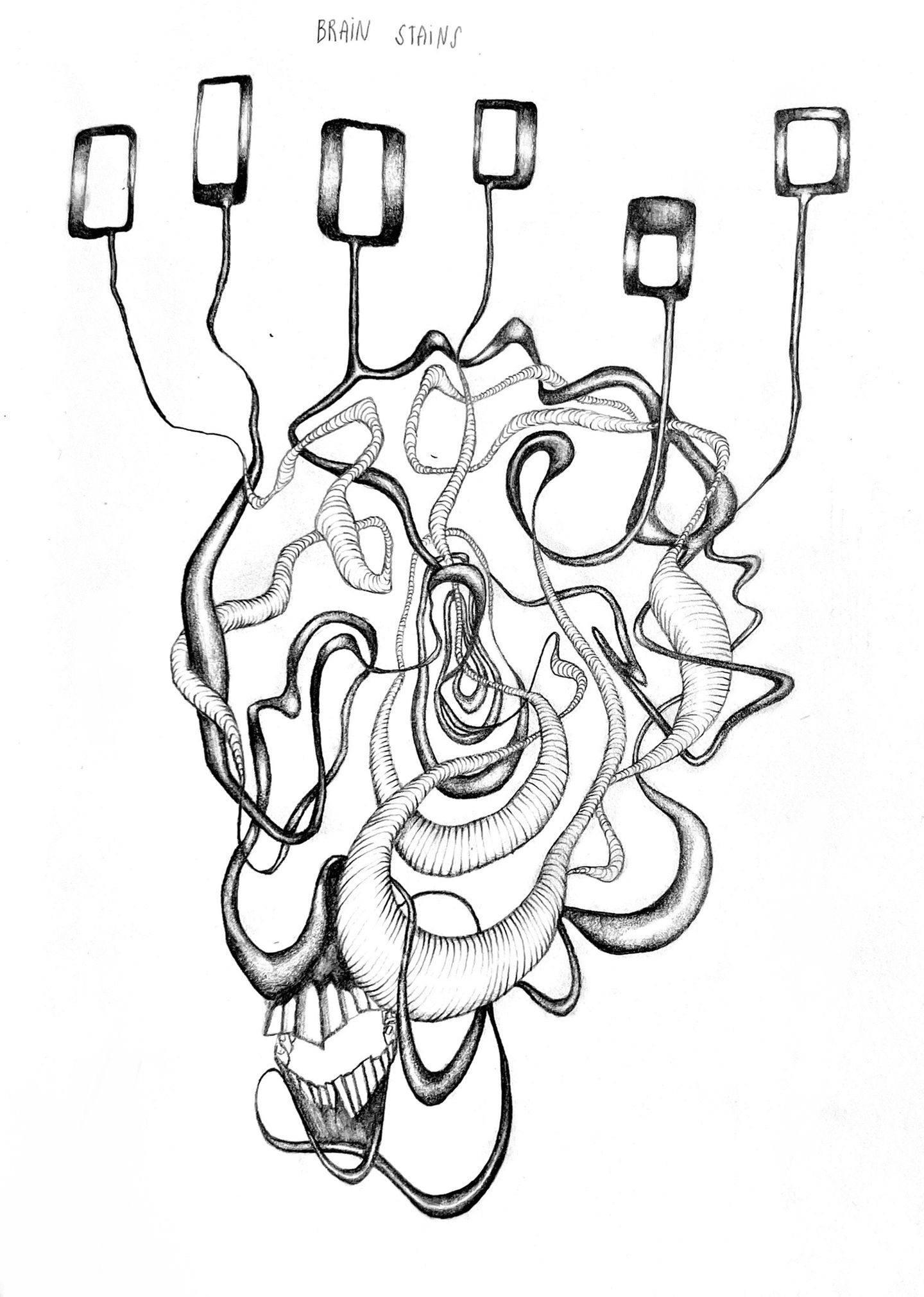 BRAIN STAINS