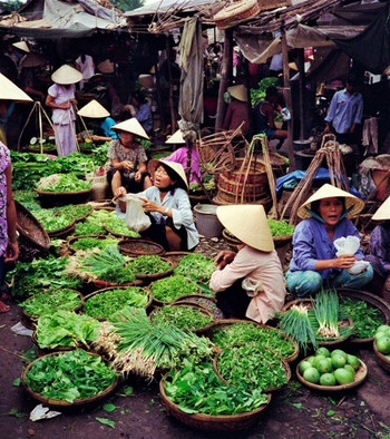 vietnam-pexels-jean-papillon-5681228.jpe