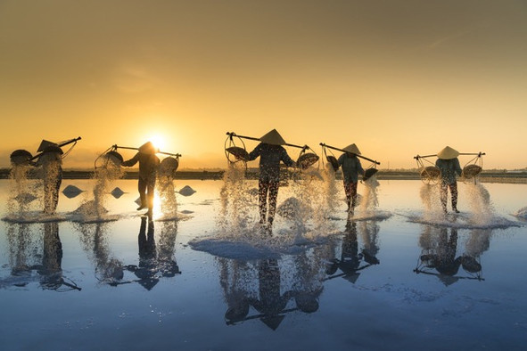 vietnam-salt-harvesting-3060093_1920.jpe