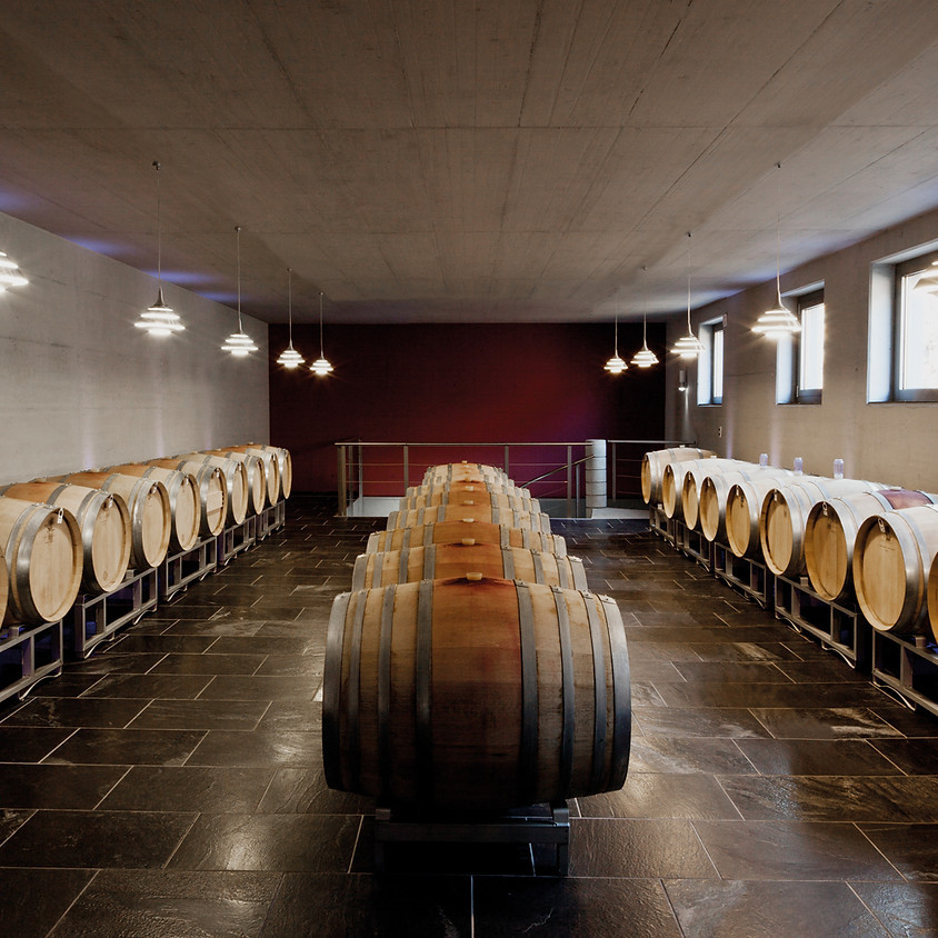CAVES OUVERTES DES GRANDS CRUS DE VETROZ