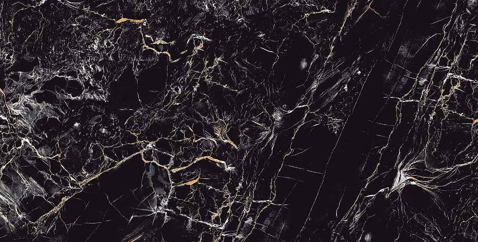 BLACK LAVA/4x2 /vitrified/ GVT/PGVT/essence