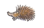 egeltje.png