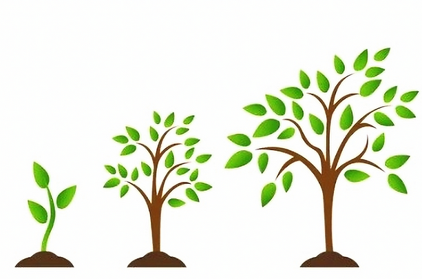 Growing Thriving Tree