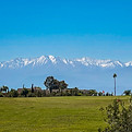 -57-IMG_6237_edited.jpg
