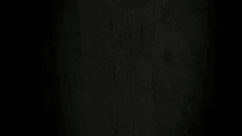 Pioneer Bible Translation