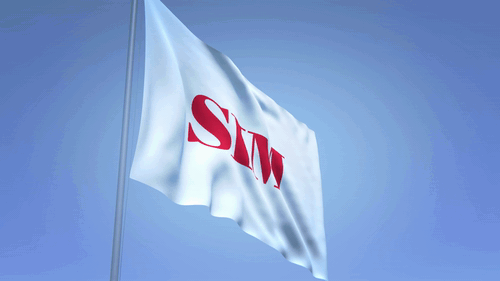 VIDDYOZE-Flag Logo.gif