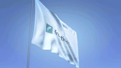 VIDDYOZE-Flag Logo (3).gif