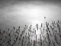 Followers that Lead