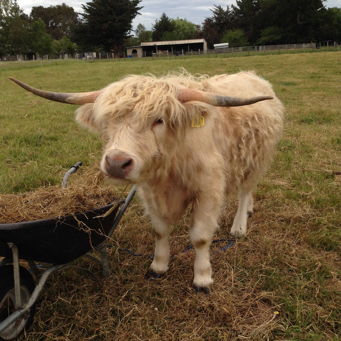 Life on a Farm