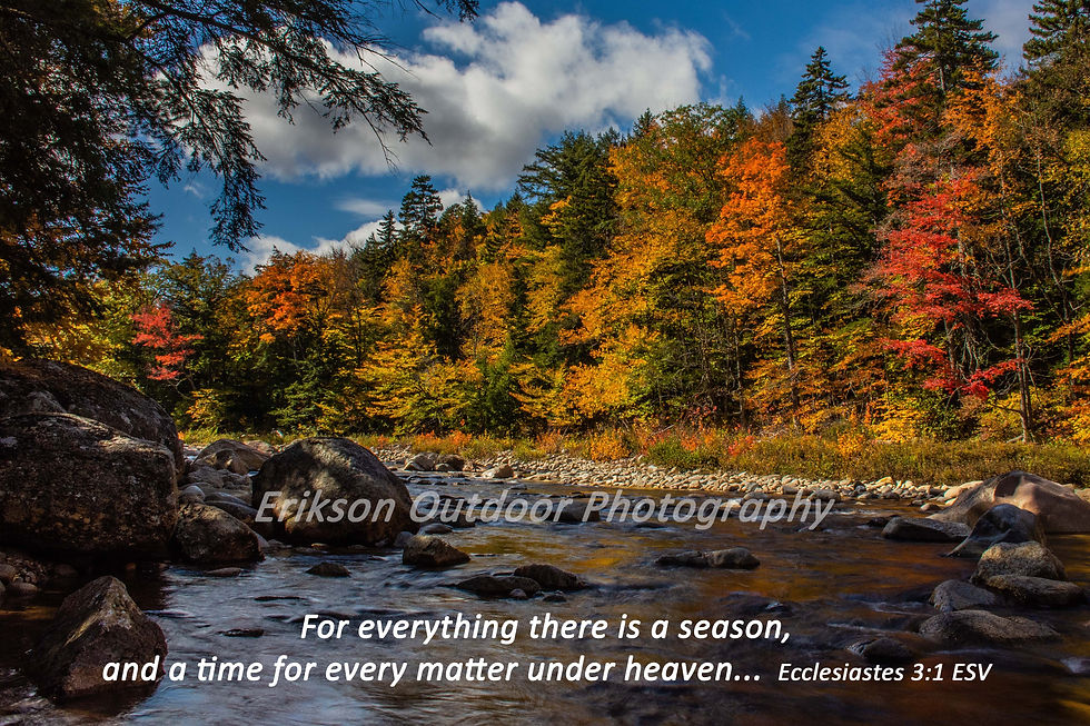 Ecclesiastes 3:1 from the English Standard Version, ESV