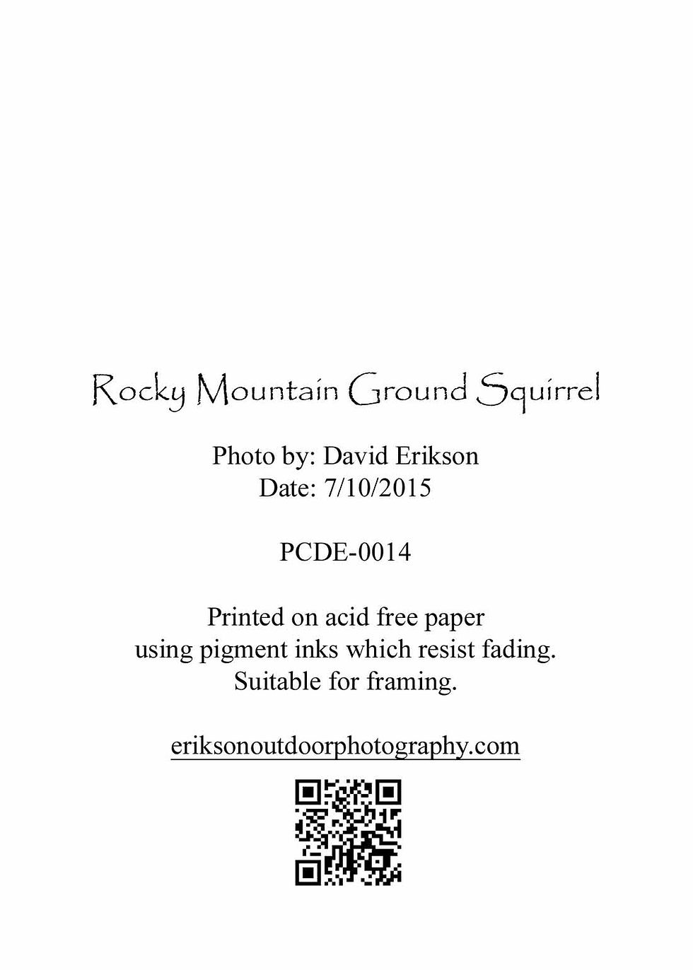 Thumbnail: Rocky Mountain Ground Squirrel, Cards and Prints