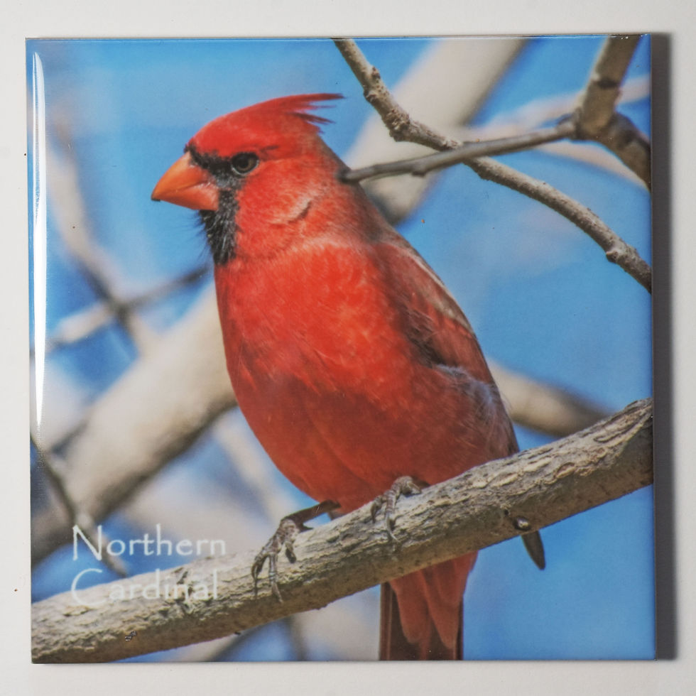 Available with the common name on the front.
