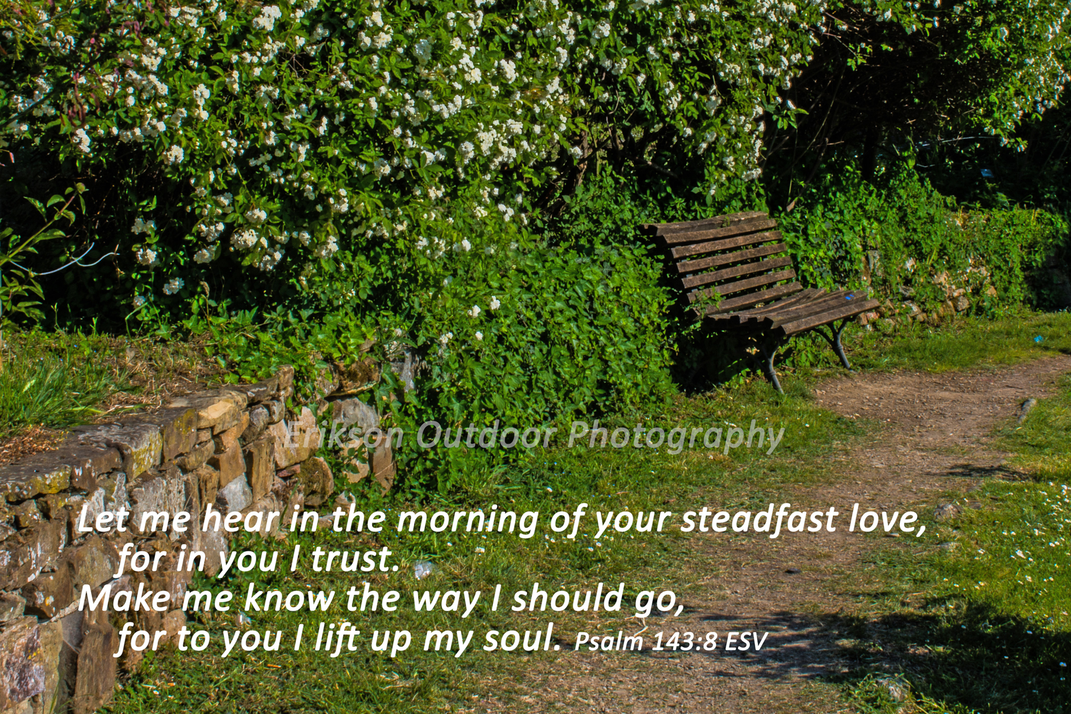 Psalm 143:8 from the English Standard Version, ESV