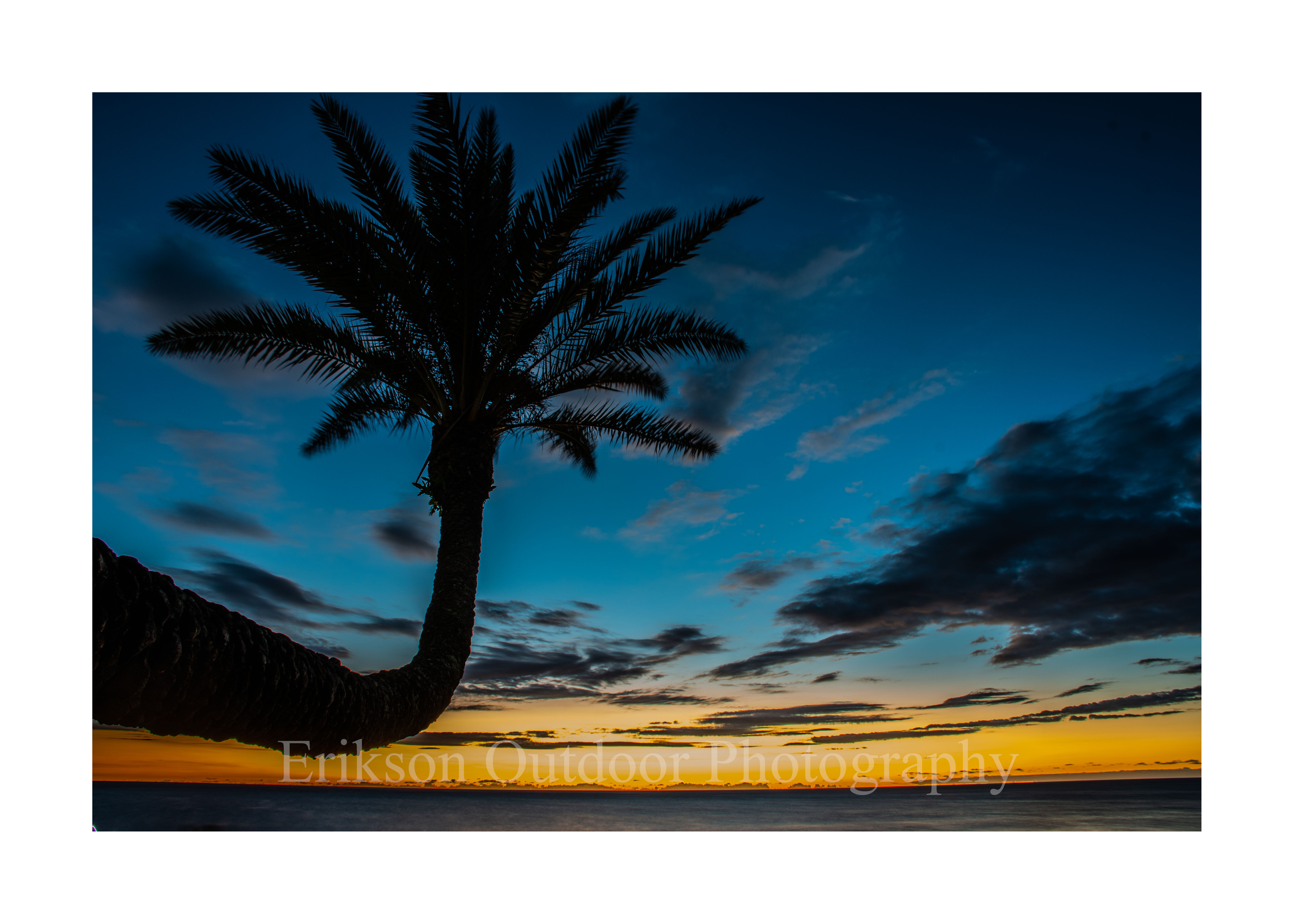 Sunset & Palm Tree #2 | Cards and Prints