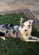 Aria ( Imagen real )