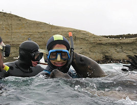 escursione-snorkeling-con-leoni-marini-argentina-vision-2022-01.jpg