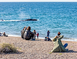 Playa-doradillo5.jpg
