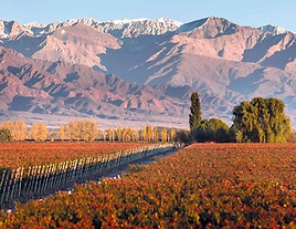 valle-de-uco-w.jpg