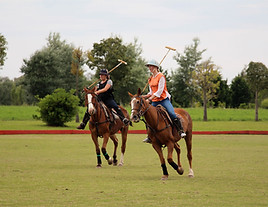 essere-un-professionista-di-polo.jpg