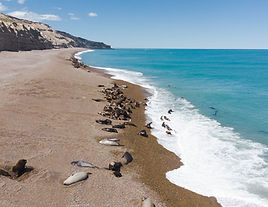 punta_ninfas_2.jpg