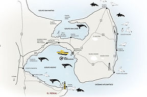 elimina-mappa_modificata.jpg