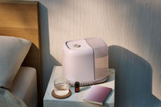 04_231013_CL_Evergreen_CreamBedside_ALT_219_Main_FINAL.jpg