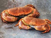cornish-crab.jpg