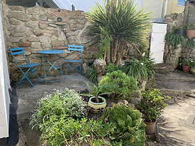 garden.HEIC