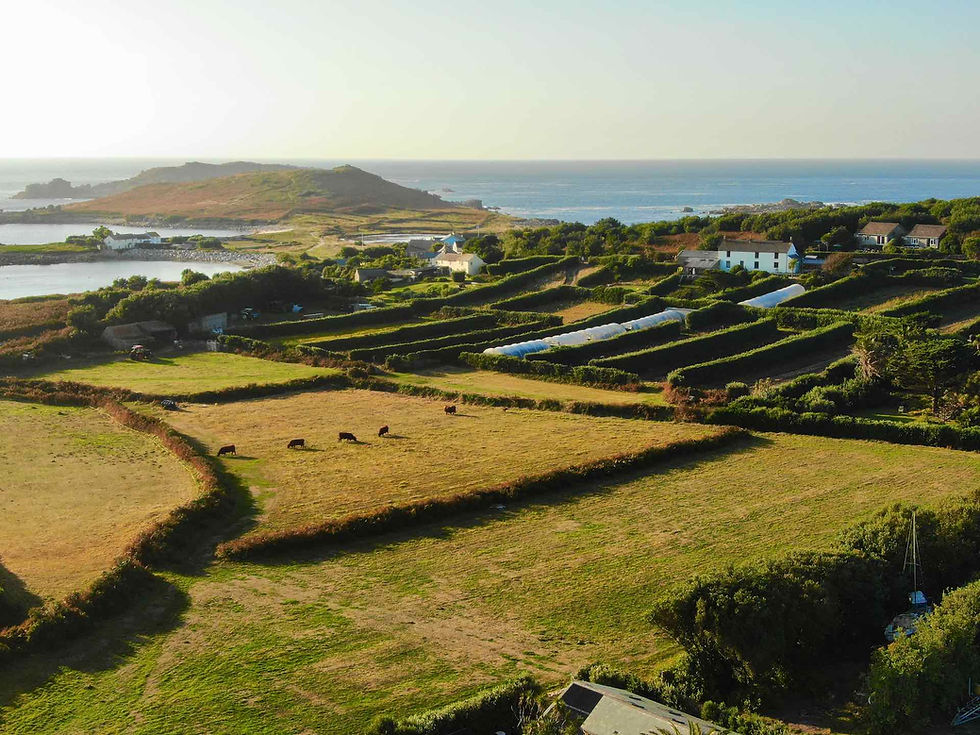 Hillside Farm Bryher.jpg