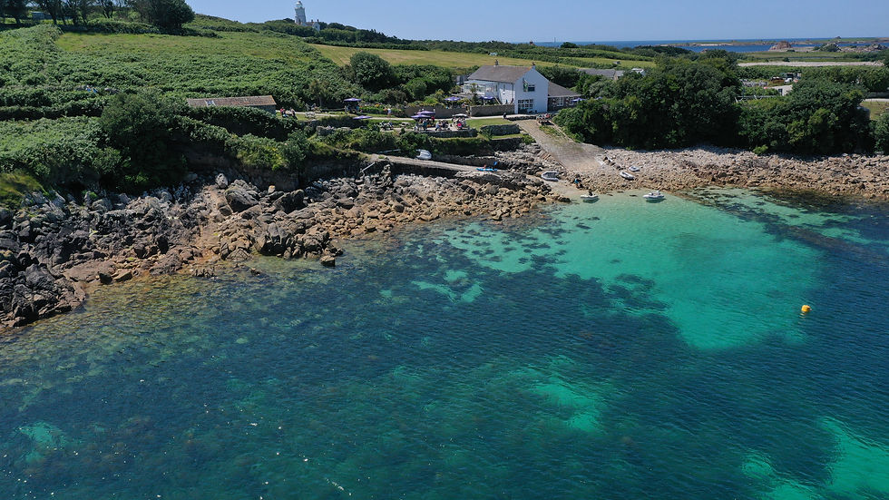 Copy of DJI_0154.JPG