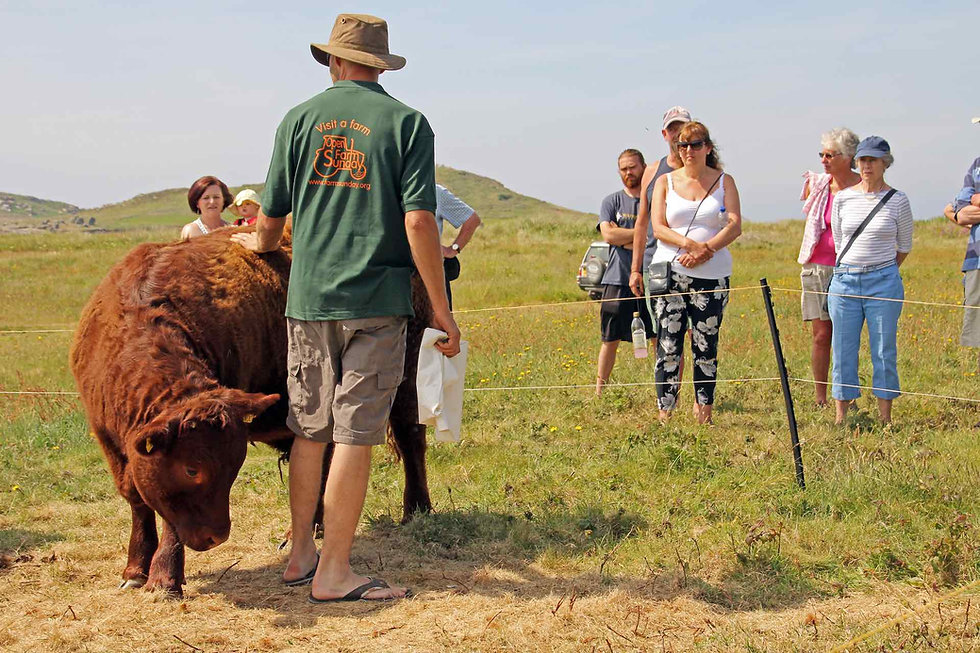 Open Farm Sunday at Hillside Farm © BareFoot Photographer.jpeg