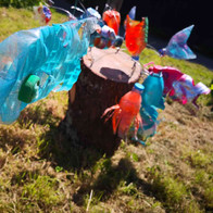 IMG_20190521_123153.jpeg