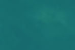 PNEUMA BKG.jpg