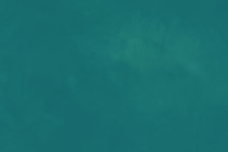 PNEUMA BKG.jpg