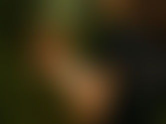 L’âme des forêts jurassiennes