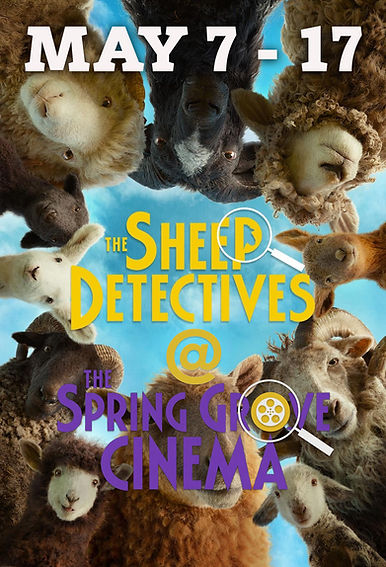 sheep detectives 1 copy.jpg