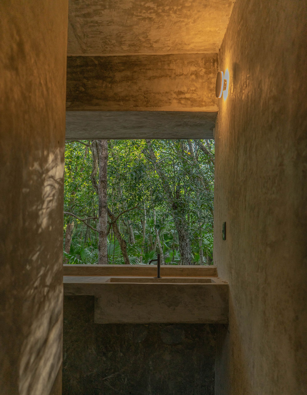 colibri-new (32 of 49).jpg