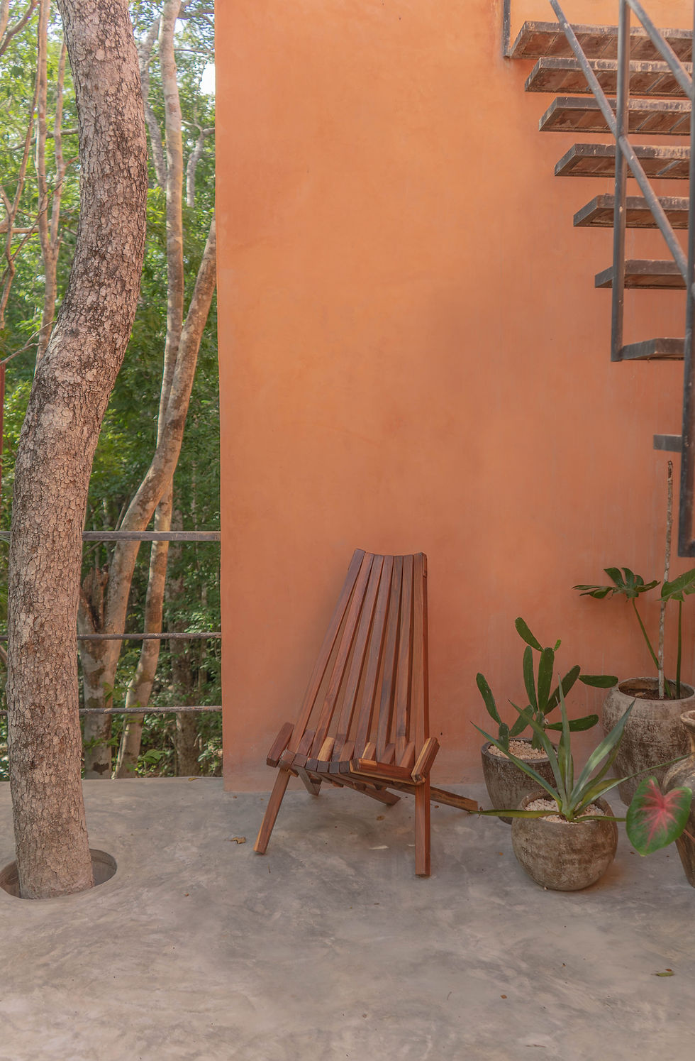 colibri-new (1 of 49).jpg