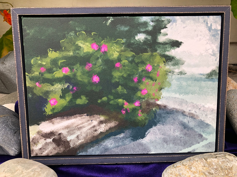 Thumbnail: Sitka Rose