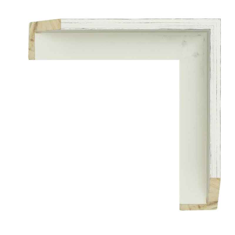 Thumbnail: Sitka Rose