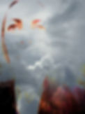 0B37EC26-3CA3-493D-9B05-546BE53A1B04.jpeg