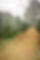 210673AF-C18B-4C54-AEB1-2B34603D3852.jpeg