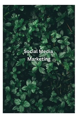Facebook & Instagram (1).png
