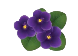 Screenshot_2025-07-03_at_4.33.40_PM-removebg-preview.png