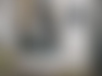 雪はそんなに心配いらないようですね。税務署も今日は特別空いていました。