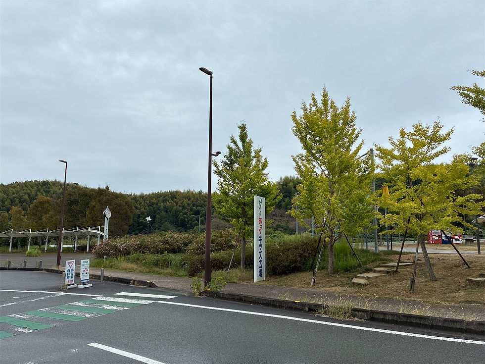 完成工事のご紹介(電気設備工事) 「R6阿土 南部健康運動公園 阿南・桑野他 照明設備修繕工事(1)(担い手確保型)」