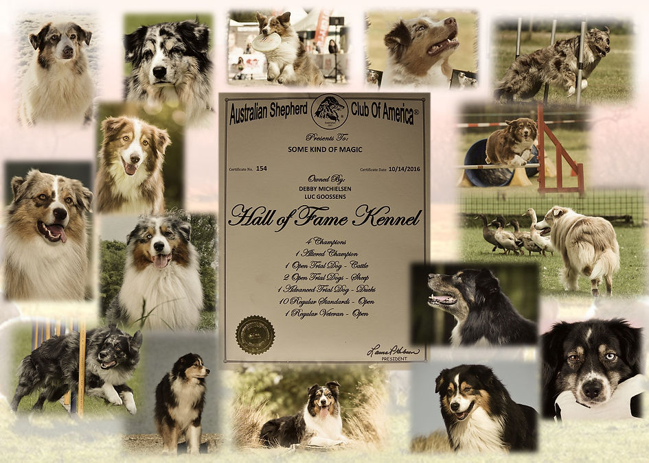HALL of FAME FOTO.jpg