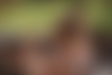 Un enfant dans un parc d'attraction