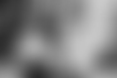 Une Séance Photo Magique en Famille : Des Jumeaux et un Bébé en Route ! - Photographe Grossesse Loire - 